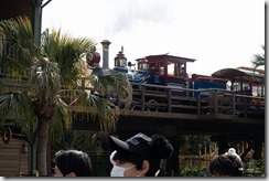 DSC_8516 DSC_8516