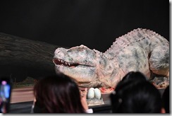 DSC_7343 DSC_7343