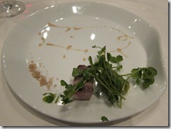 IMG_1886 IMG_1886